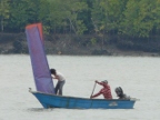 local sail in Port Klang.JPG (174 KB)